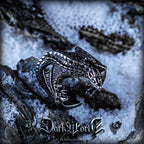 【Pterosaur】 European and American punk ring for men, high-end vintage niche design, personalized titanium steel ring accessory